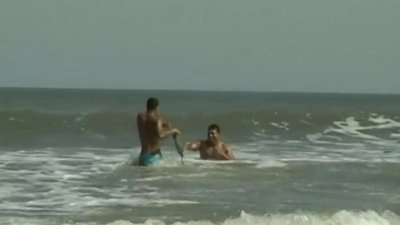 anal ass from Gay Porn Mega Sites