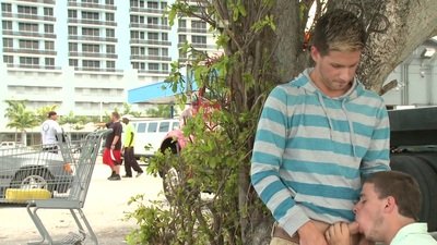 anal ass from Bound In Public