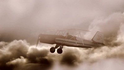 anal bed from Boy Gusher